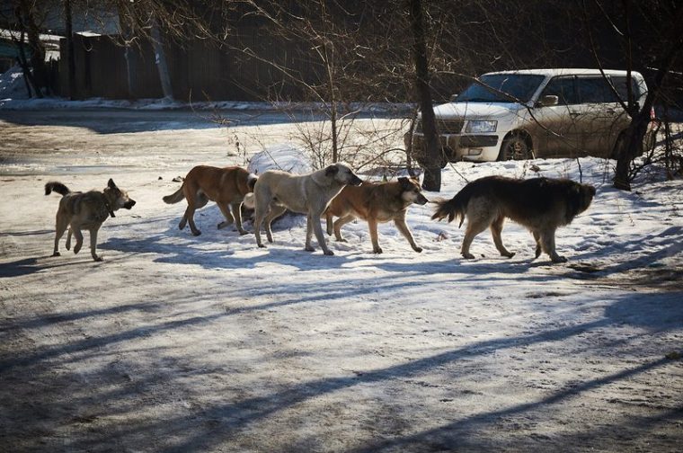 post-27586 thumbnail