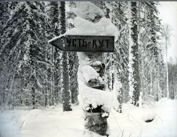 post-36259 thumbnail