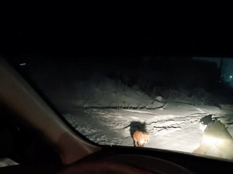 post-18993 thumbnail