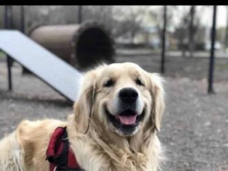 post-18473 thumbnail