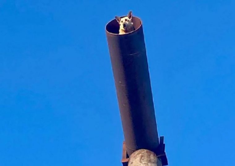 post-19943 thumbnail