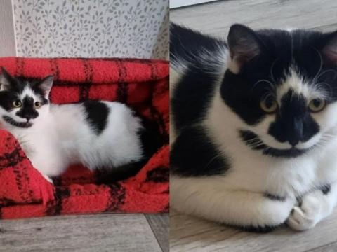 post-20385 thumbnail