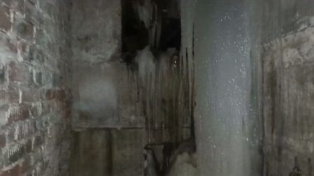 post-21398 thumbnail