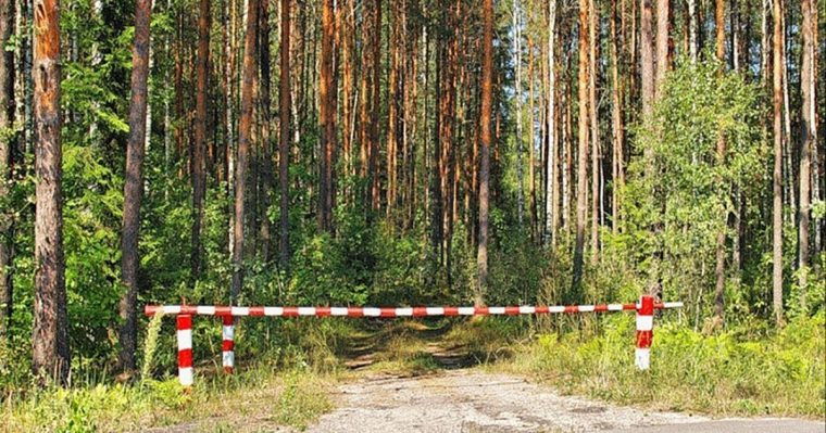 post-27428 thumbnail