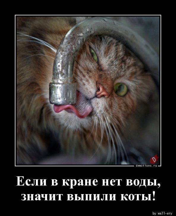 post-26850 thumbnail