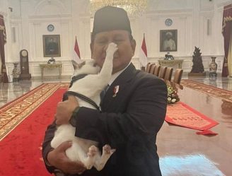 post-28051 thumbnail