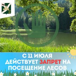 post-27459 thumbnail