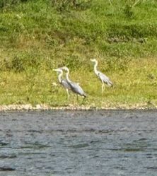 post-29694 thumbnail