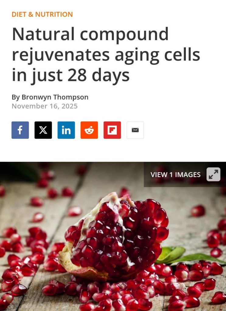 post-32619 thumbnail