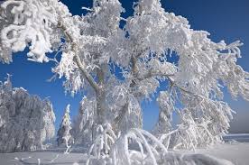 post-34496 thumbnail