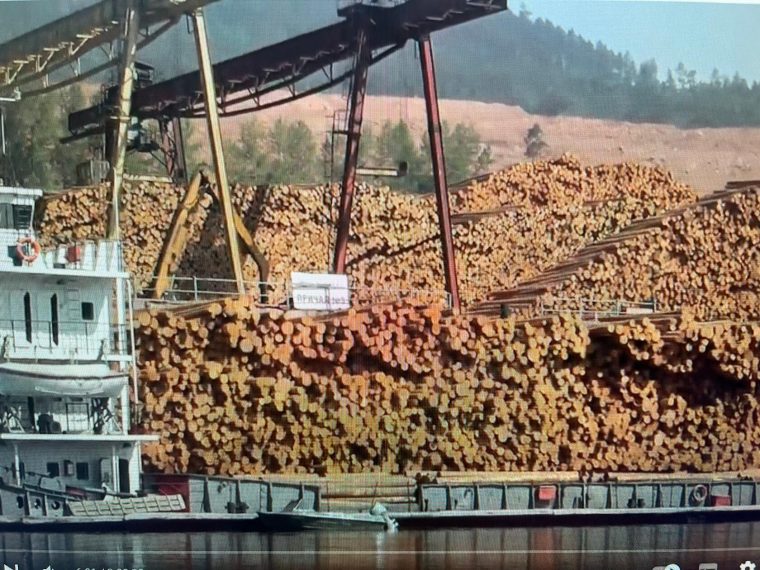 post-35363 thumbnail