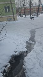 post-35704 thumbnail