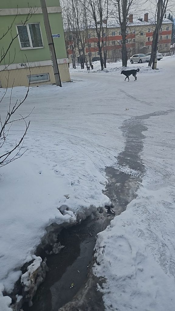 post-35704 thumbnail