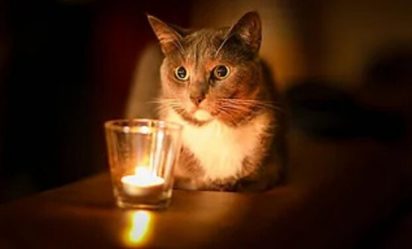 post-35826 thumbnail