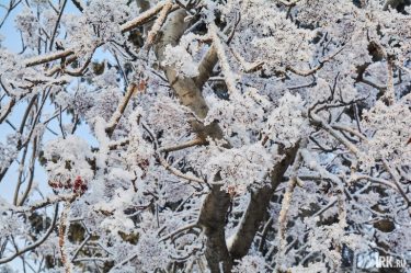 post-36020 thumbnail