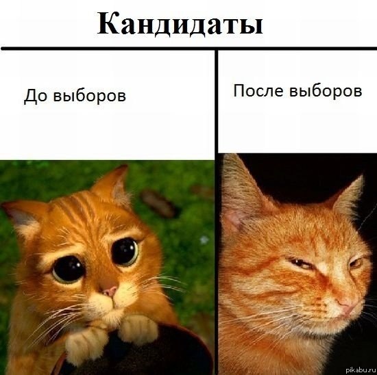 post-36689 thumbnail