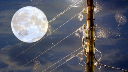 post-36674 thumbnail