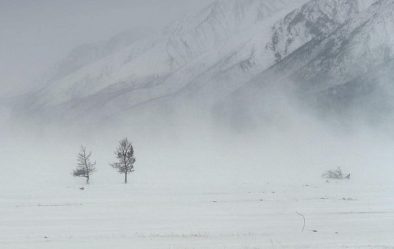 post-36475 thumbnail