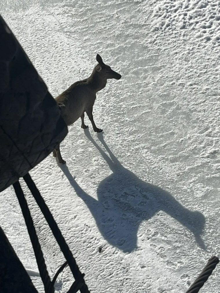 post-36343 thumbnail