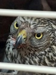 post-36411 thumbnail