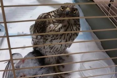 post-36697 thumbnail